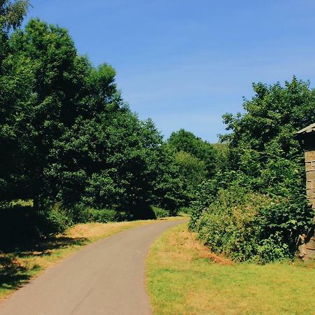 Apartament Taff Trail Bunkhouse Merthyr Tydfil Zewnętrze zdjęcie